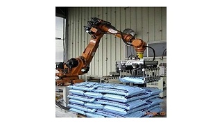 智能化生产大跃进：码垛机械臂引领制造业未来